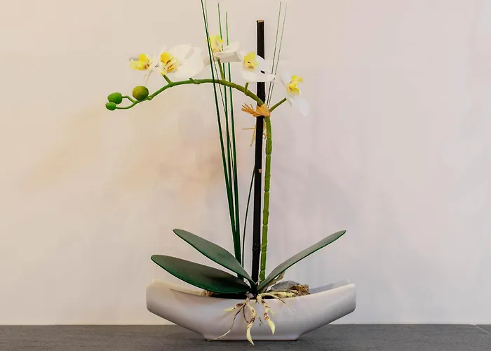 Appartement Achterdeck